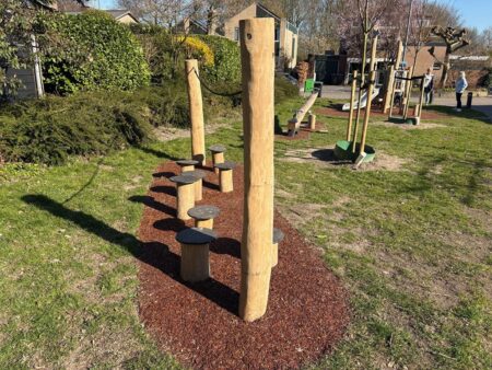 Robinia stapparcours (2)