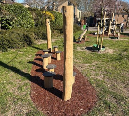 Robinia stapparcours (2) Robinia stapparcours (2)