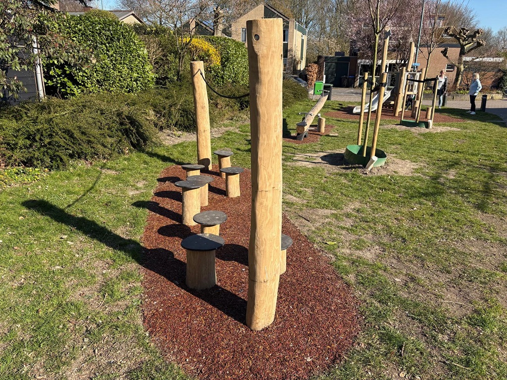 Robinia stapparcours (2)
