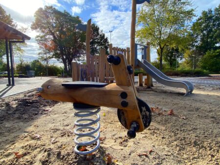 Veerfiguur-Froombosch.jpg Veerfiguur-Froombosch.jpg