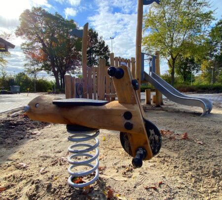 Veerfiguur-Froombosch.jpg Veerfiguur-Froombosch.jpg