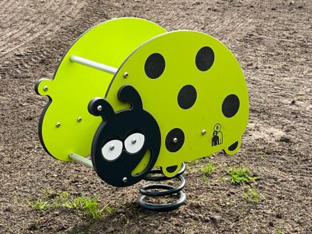 Veerfiguur lieveheersbeestje