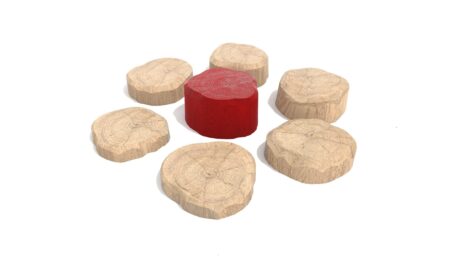 Robinia set stapschijven Robinia set stapschijven