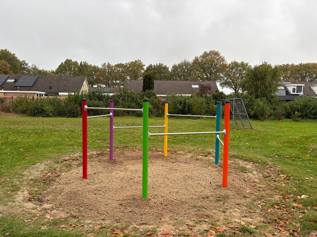 Regenboogduikelrek zeskant (3)