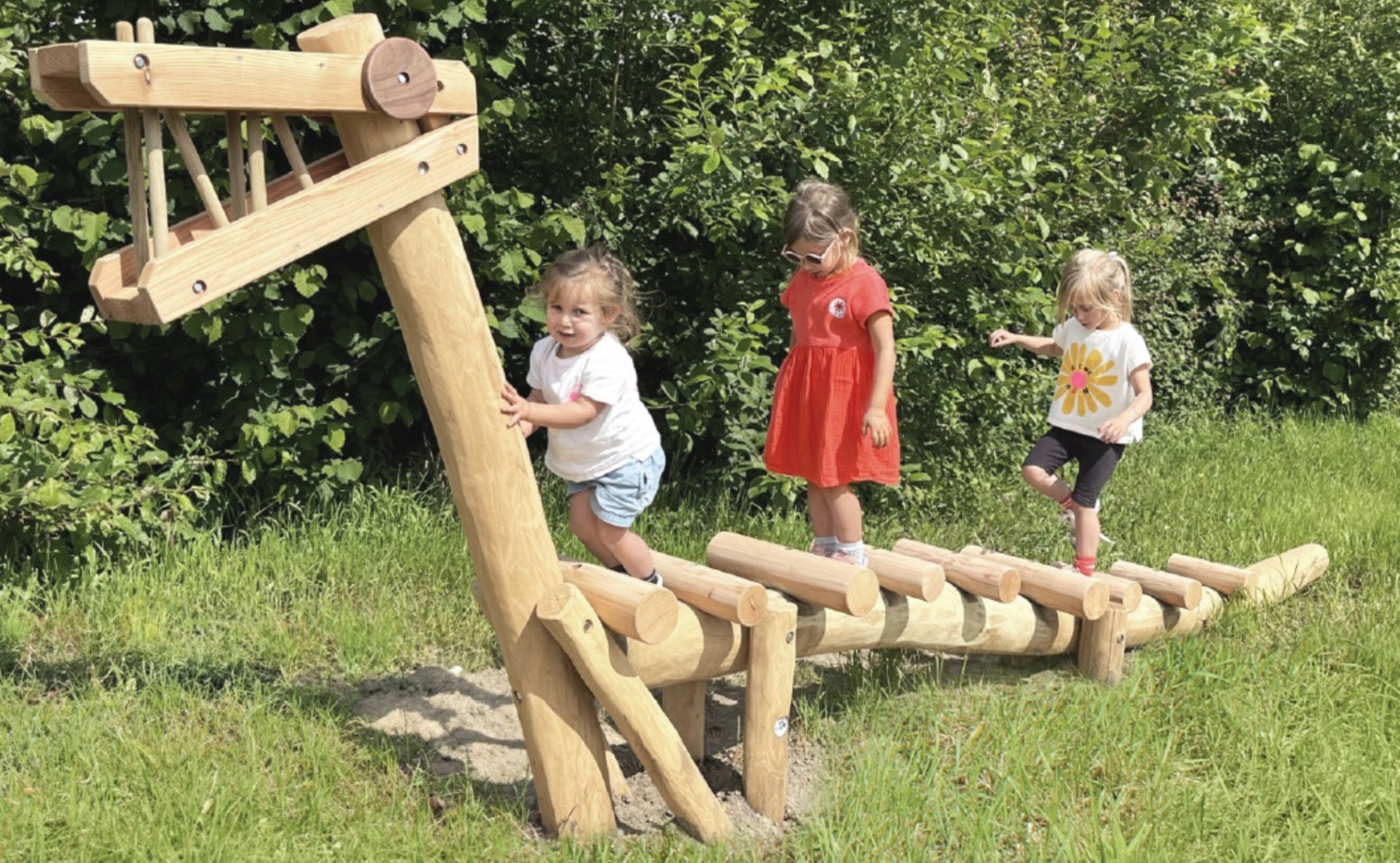 Robinia balanceertoestel Draak