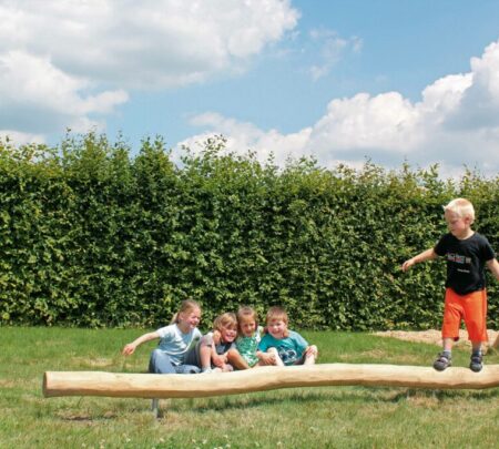 Robinia evenwichtsbalk Robinia evenwichtsbalk