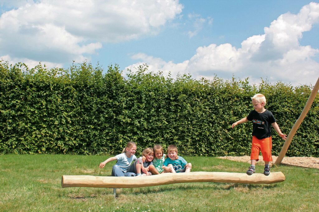 Robinia evenwichtsbalk Robinia evenwichtsbalk