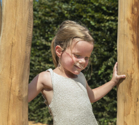 Robinia steltenpad Robinia steltenpad