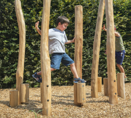 Robinia steltenpad Robinia steltenpad