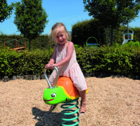 Veerfiguur landschildpad (2) Veerfiguur landschildpad (2)