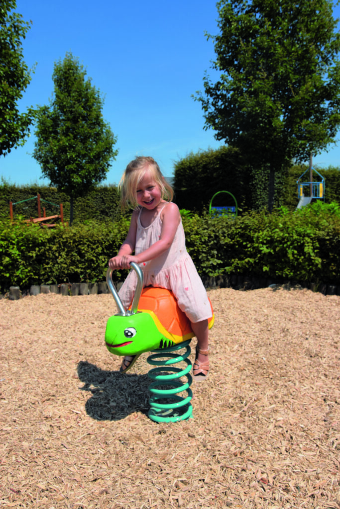 Veerfiguur landschildpad (2) Veerfiguur landschildpad (2)