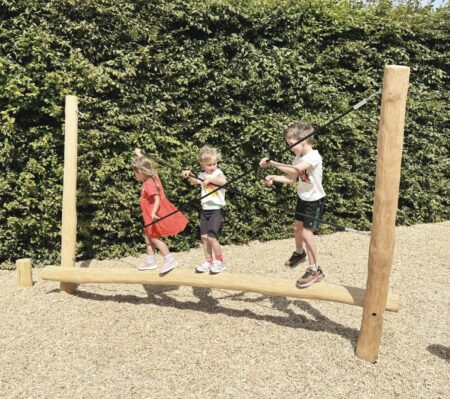 Robinia balanceertoestel Neushoorn (4)