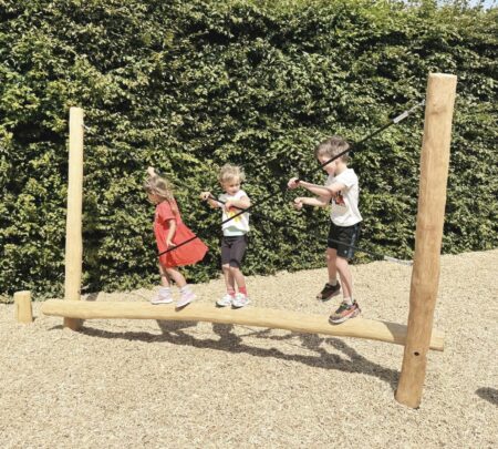 Robinia balanceertoestel Neushoorn (4)