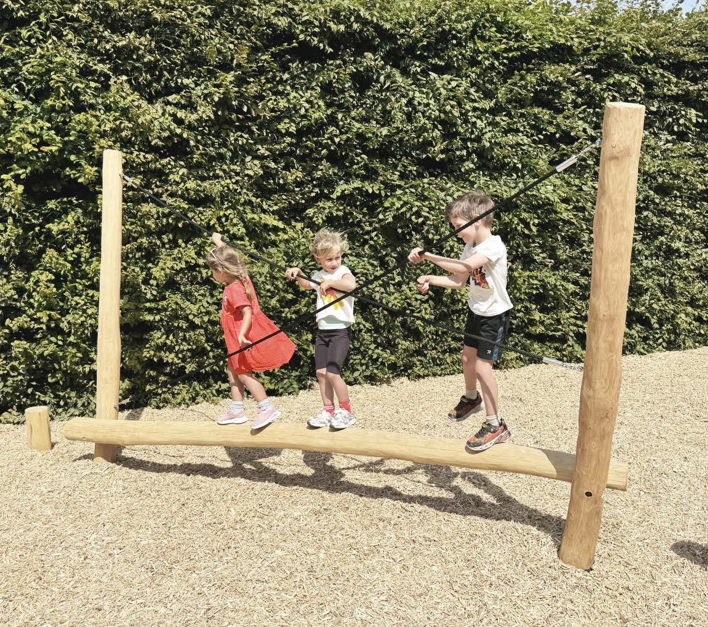 Robinia balanceertoestel Neushoorn (4)