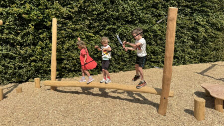 Robinia balanceertoestel Neushoorn