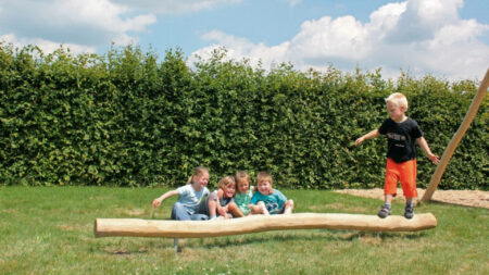 Robinia evenwichtsbalk Robinia evenwichtsbalk