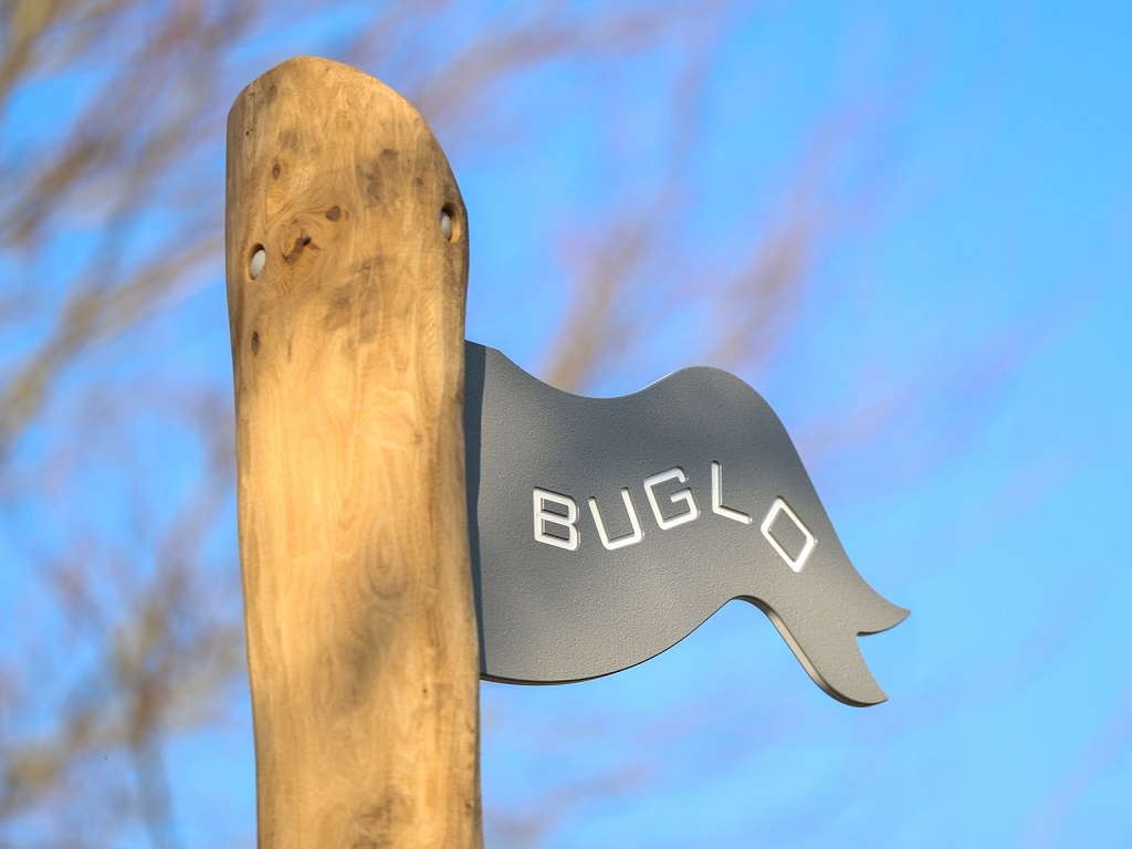 Buglo
