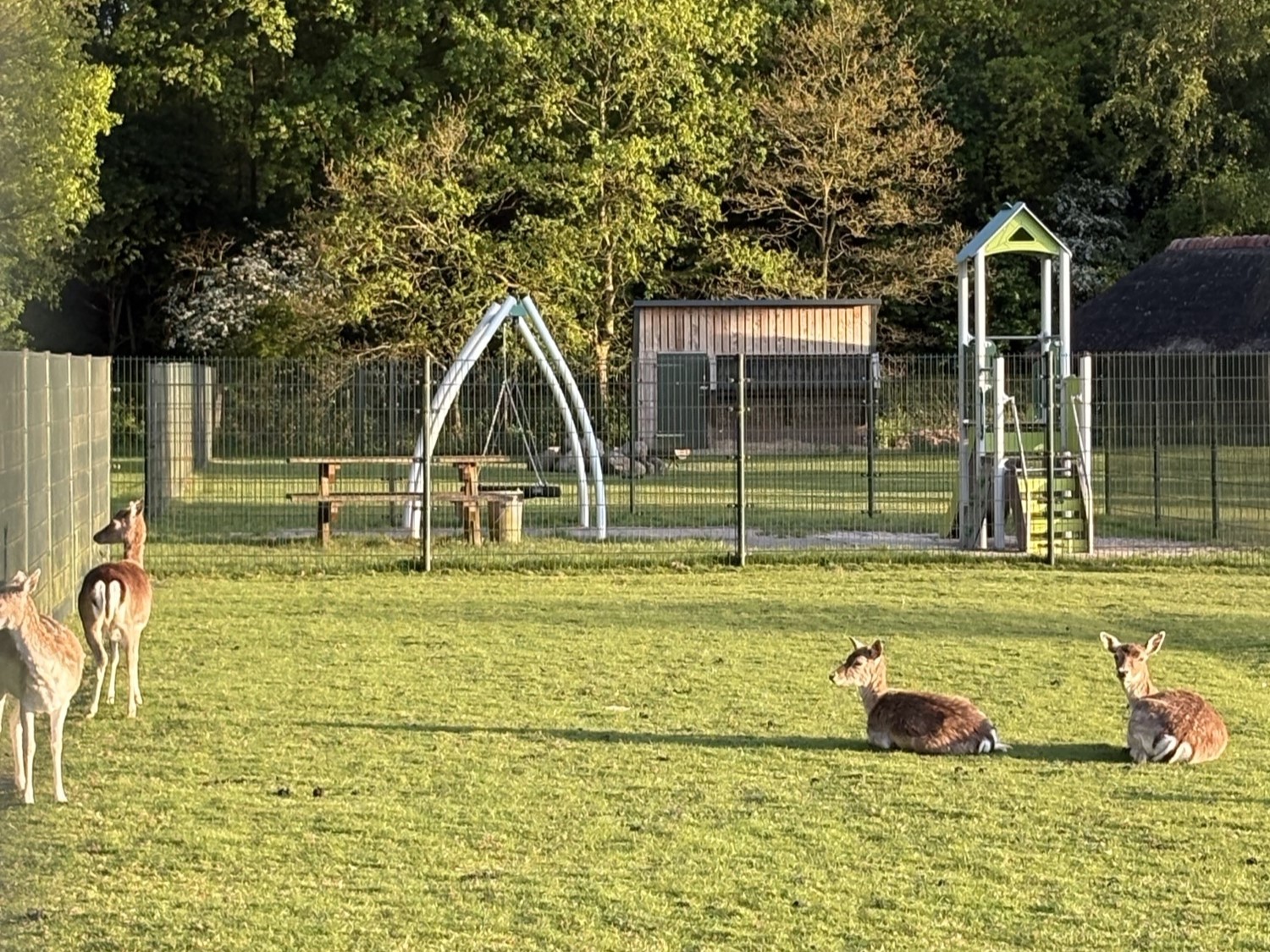 Makkinga – Hertenkamp