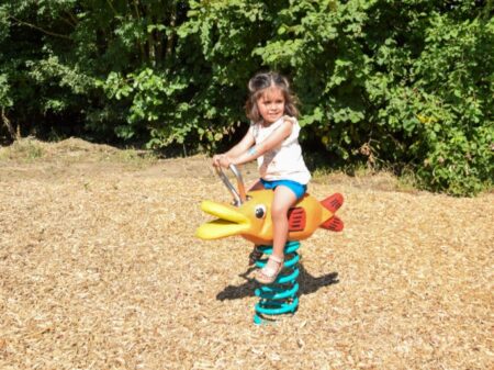 Veerfiguur goudvis (3)