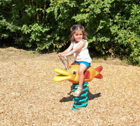 Veerfiguur goudvis (3) Veerfiguur goudvis (3)