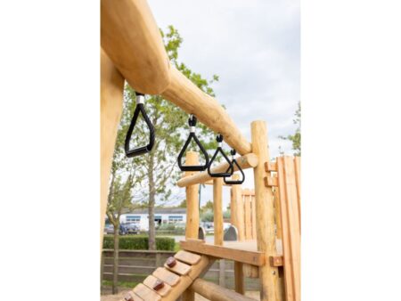 Robinia combi Tovertoren 3 Robinia combi Tovertoren 3