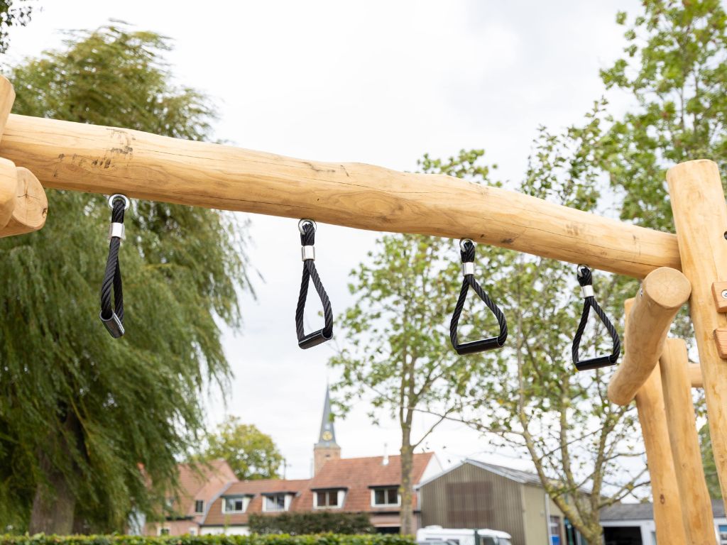 Robinia combi Tovertoren (5)