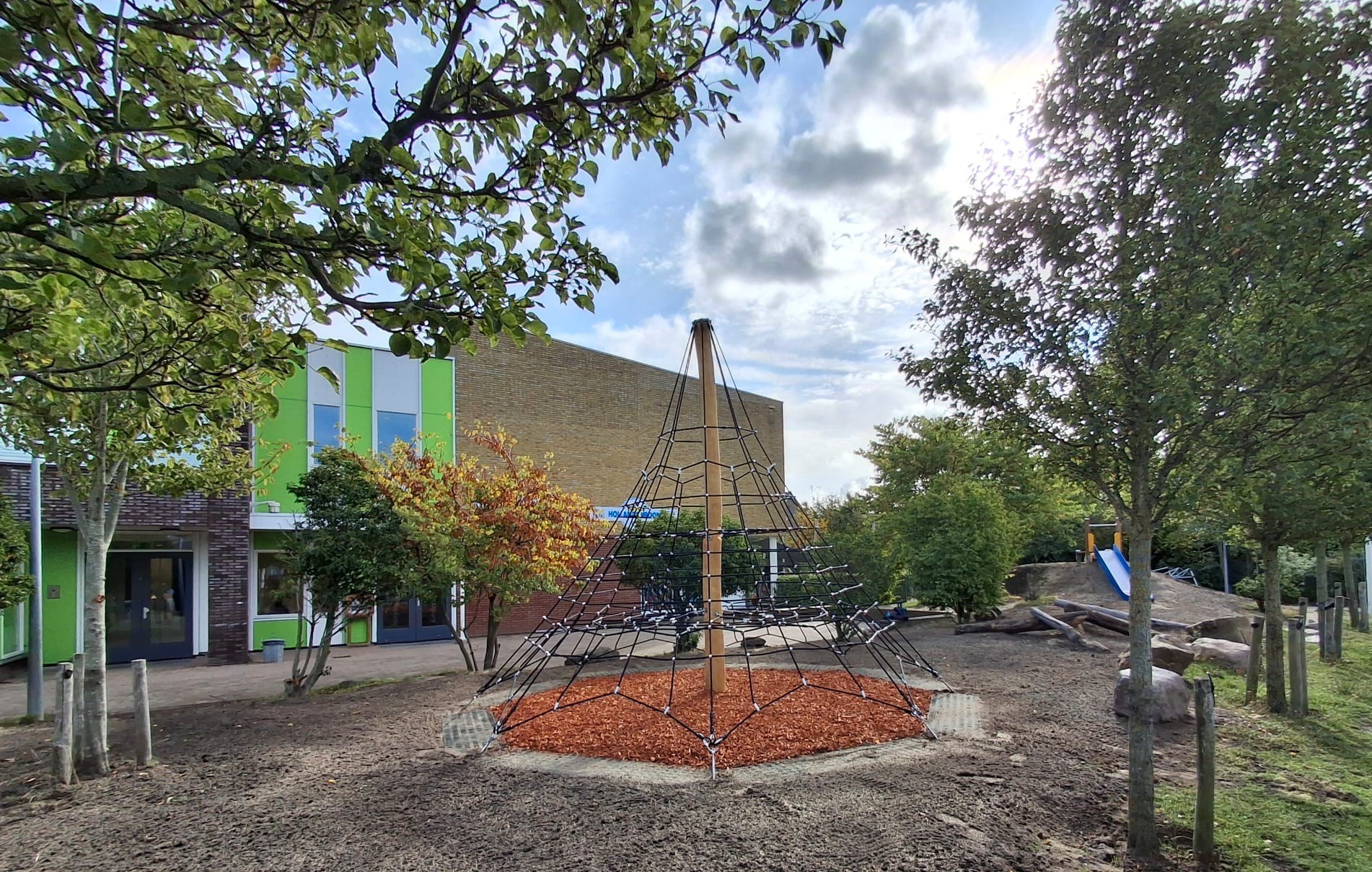 Robinia klimpiramide (4)