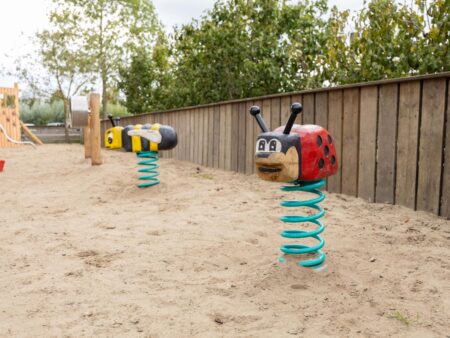 Robinia veerfiguur Lieveheersbeestje Robinia veerfiguur Lieveheersbeestje