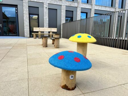 Robinia paddenstoelen