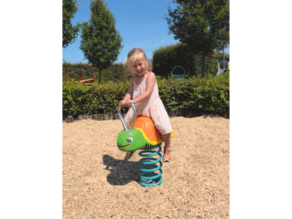 Veerfiguur landschildpad Veerfiguur landschildpad