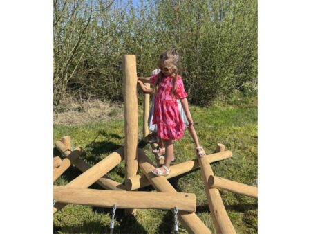 Robinia klimtoestel Mierennest