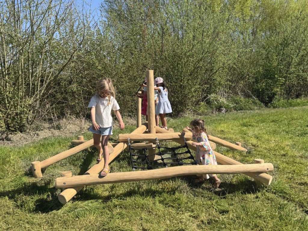Robinia klimtoestel Mierennest