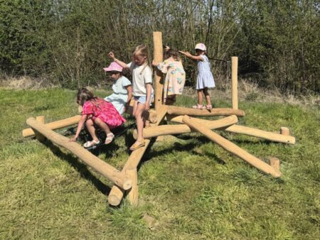 Robinia klimtoestel Mierennest