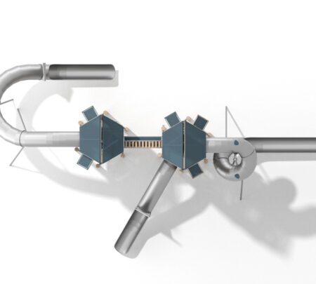 Robinia klimtoren Dynasty (1) Robinia klimtoren Dynasty (1)