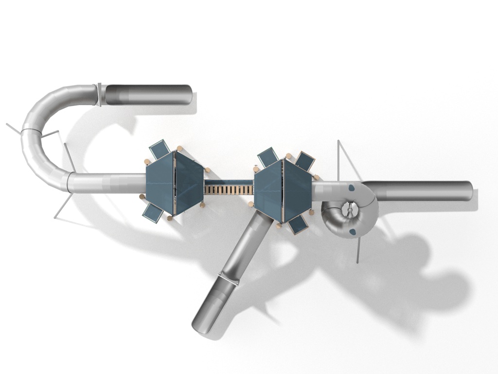 Robinia klimtoren Dynasty (1) Robinia klimtoren Dynasty (1)