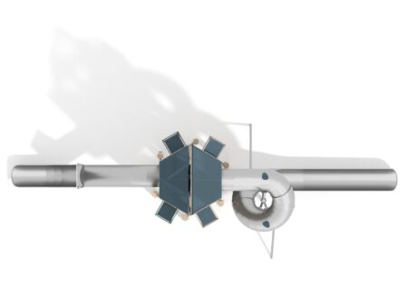 Robinia klimtoren Kingdom (1)