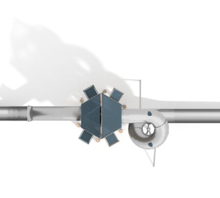 Robinia klimtoren Kingdom (1)