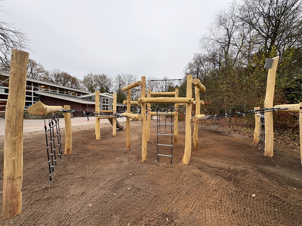 Robinia Maximilian (11)