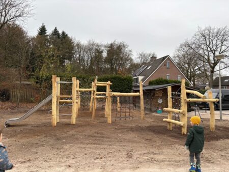 Robinia Maximilian (2)