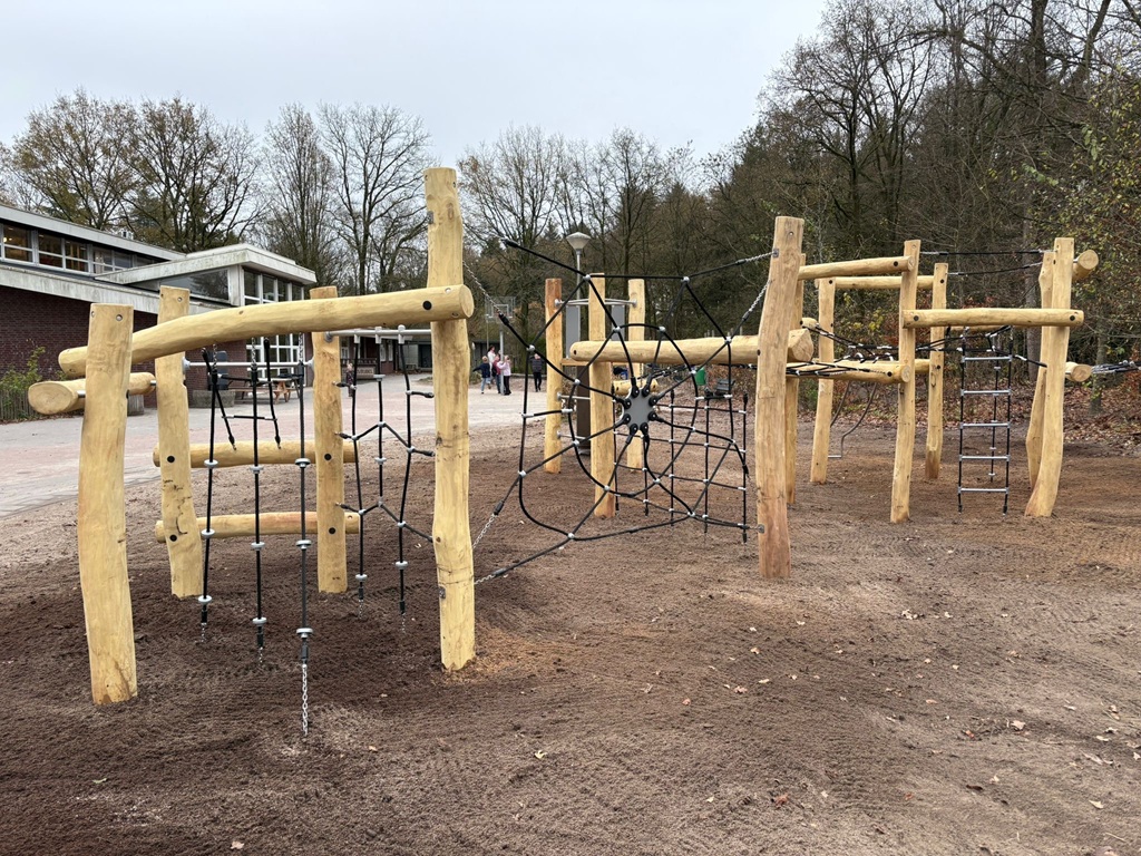 Robinia Maximilian (5)