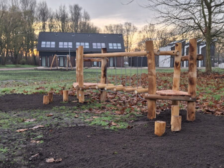 Robinia behendigheidstoestel wiebelbrug