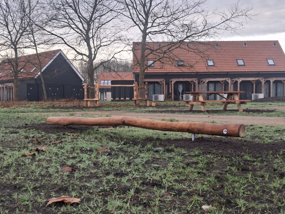 Robinia evenwichtsbalk