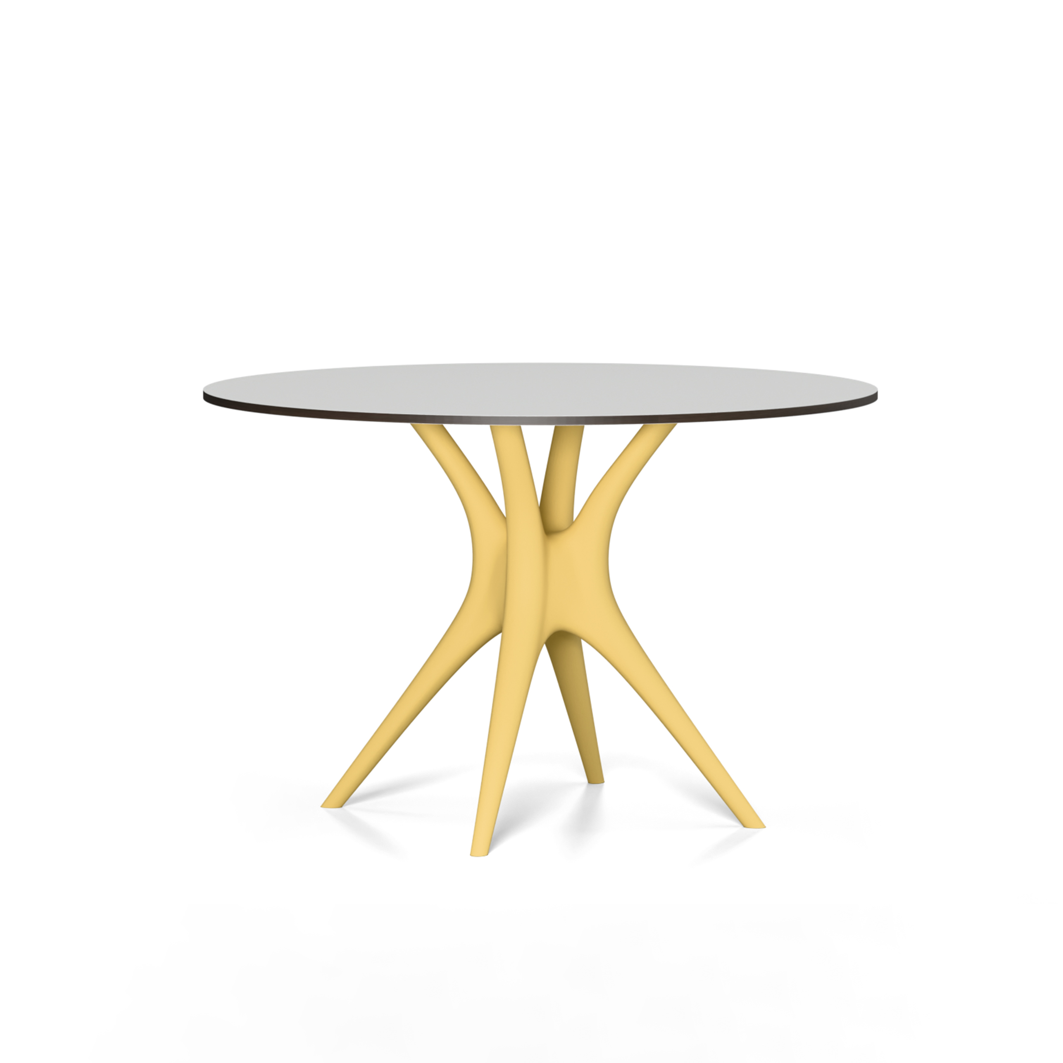 ANIMA table