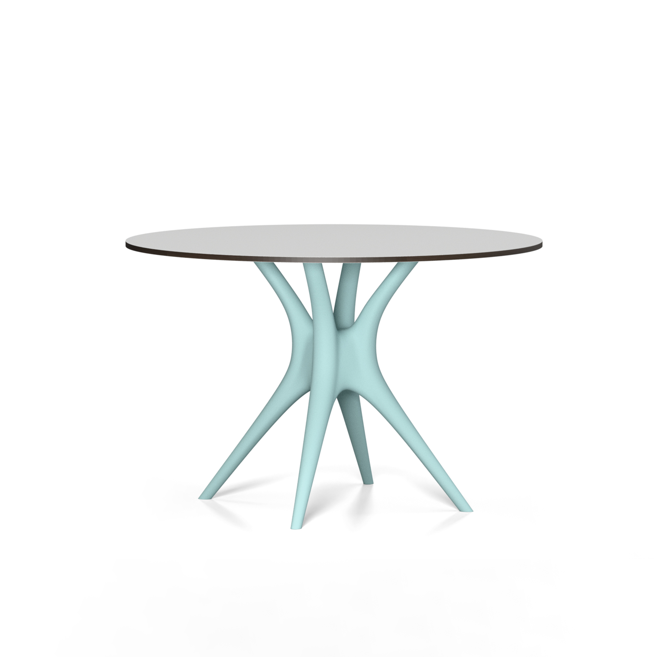 ANIMA table
