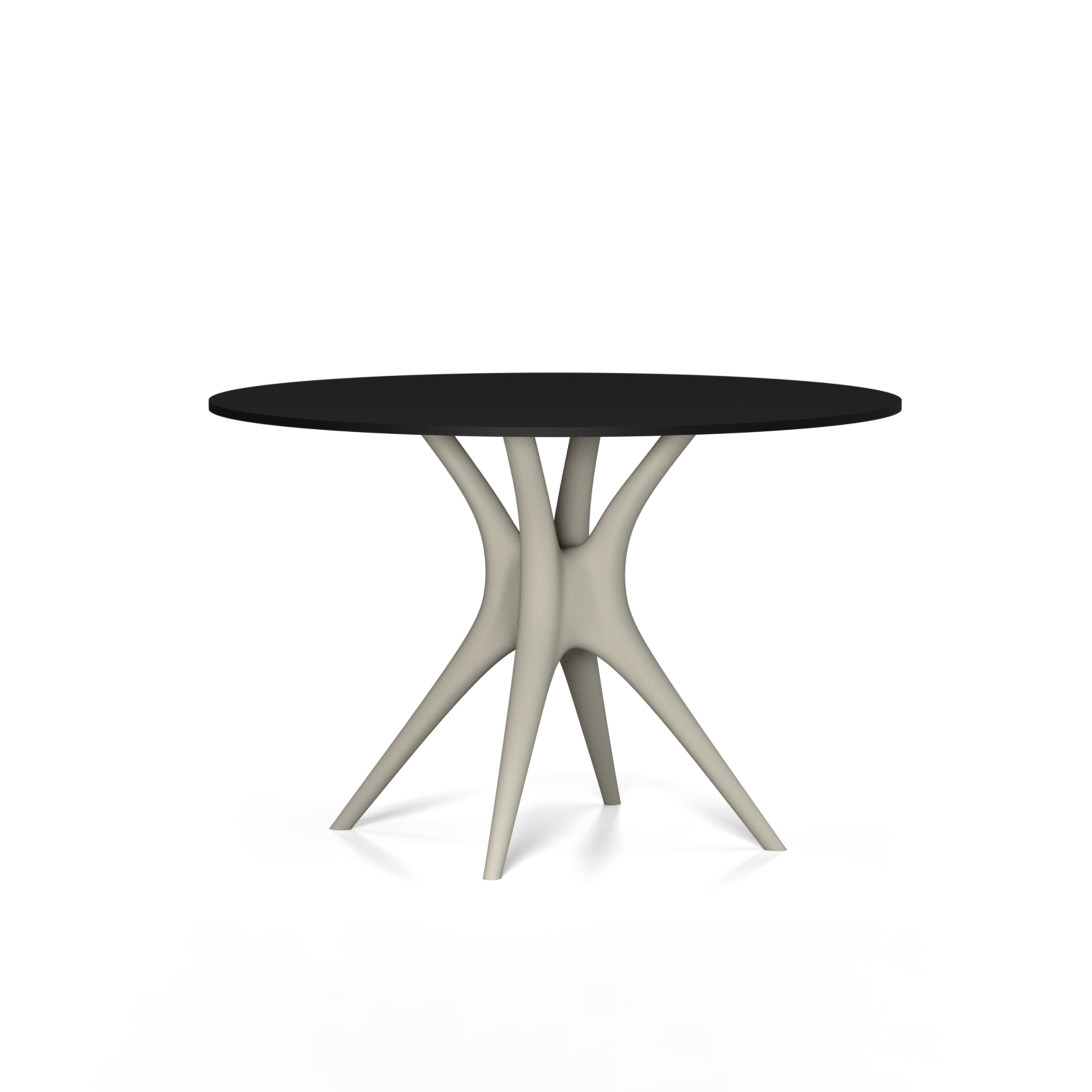 ANIMA table